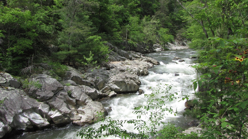 laurel river trail